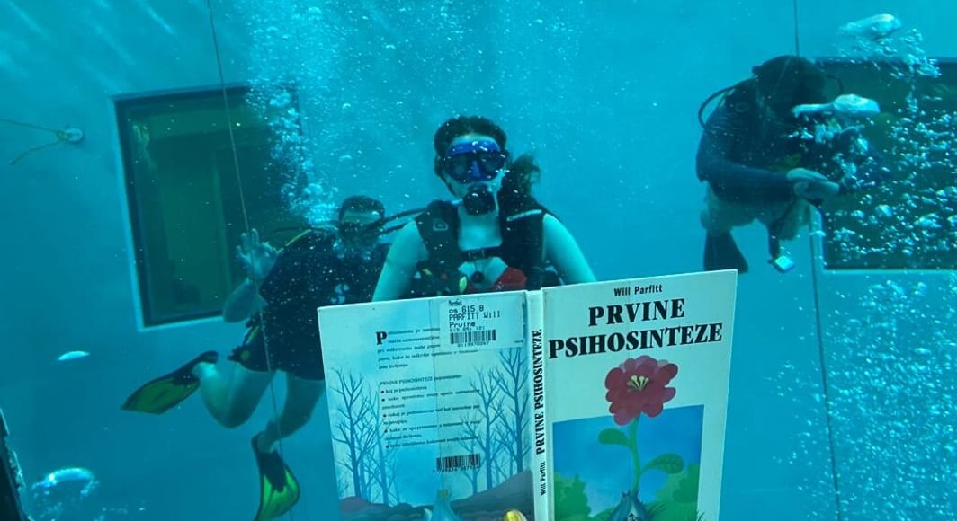 12bc10de 3987 4837 a5ae 92e8f4022dcc