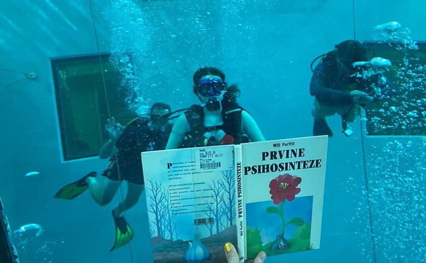 12bc10de 3987 4837 a5ae 92e8f4022dcc