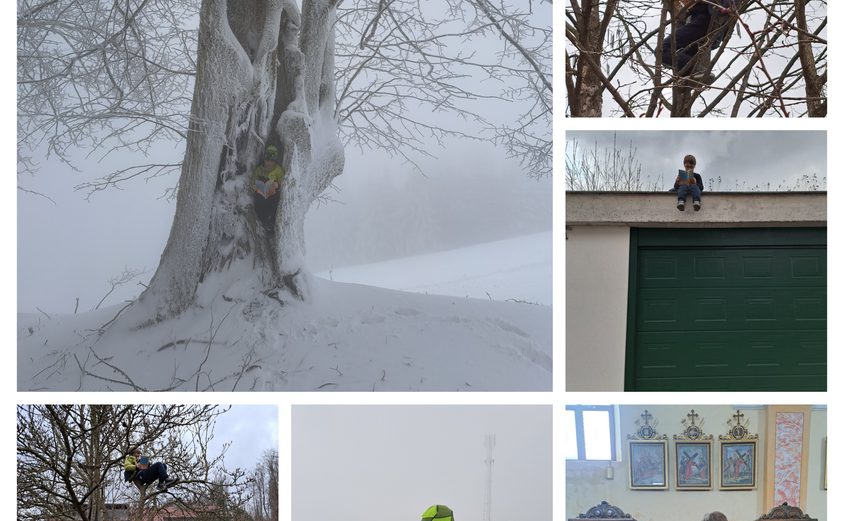 20230226 171901 COLLAGE 1