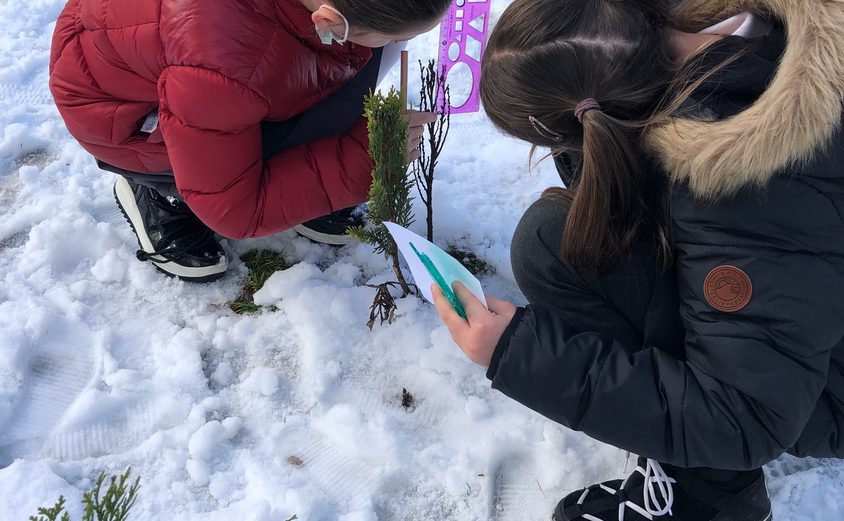 271436352 5097269646971669 78612390018745569 n