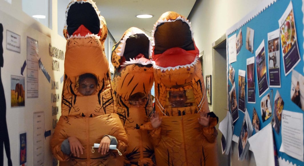 275018189 5288605667838065 8781134871976671730 n