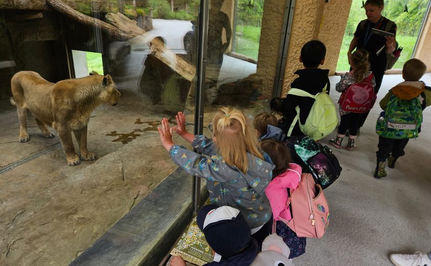 445180621 513284948373 7606070758104266506 n 1