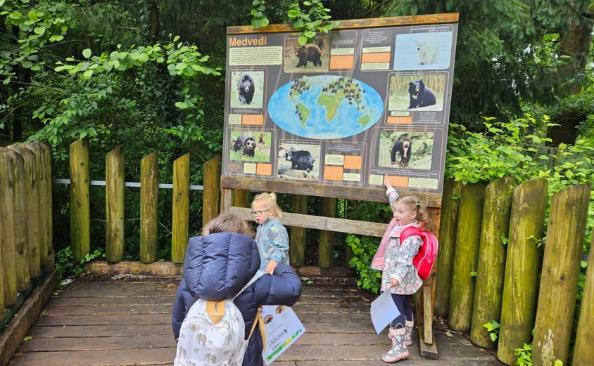 445198603 513284983303 2330433290369477635 n