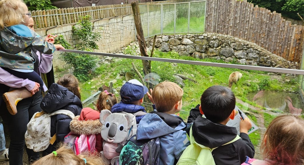 445202991 513285003263 4385685061232774911 n