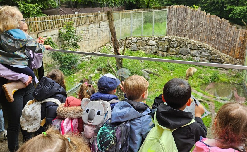 445202991 513285003263 4385685061232774911 n