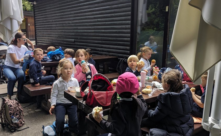 445751868 513285252763 6572831998706133450 n