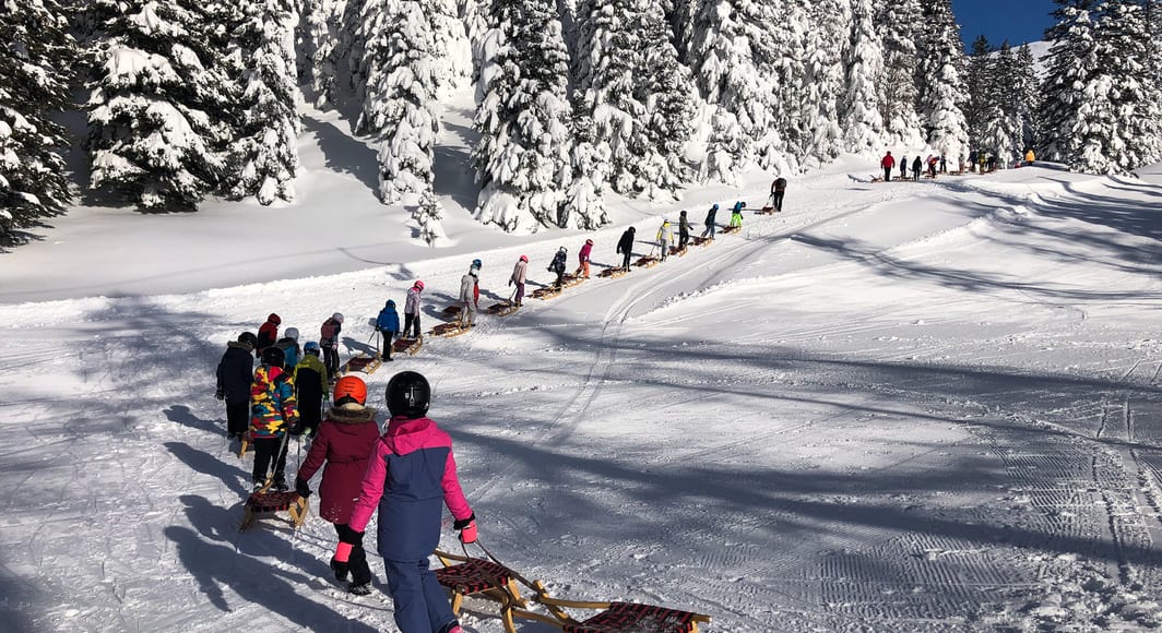 Students sledding on a school trip