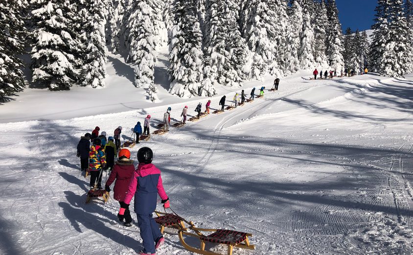 Students sledding on a school trip