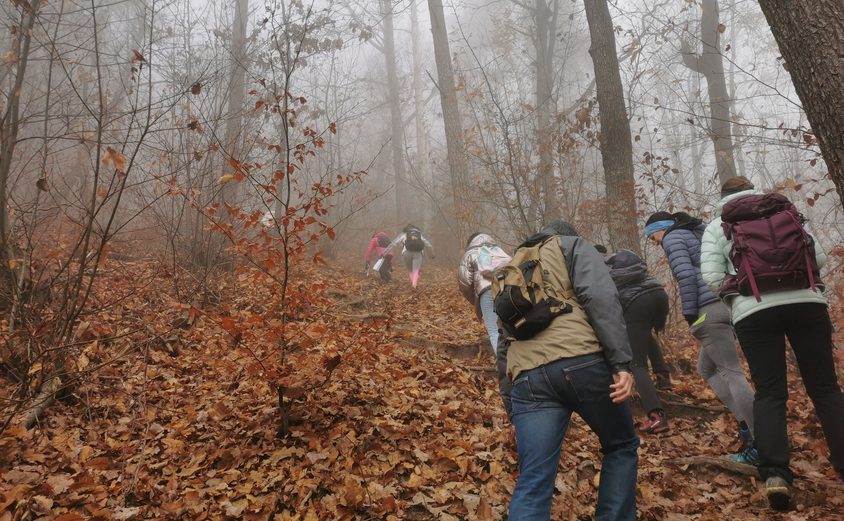 MEPI Update Smarna Gora 1