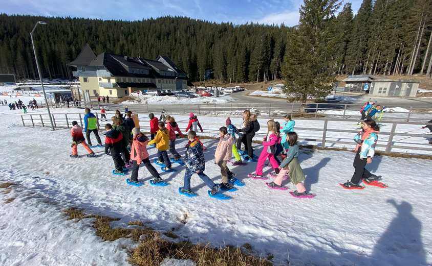 Microsoft Teams image 1