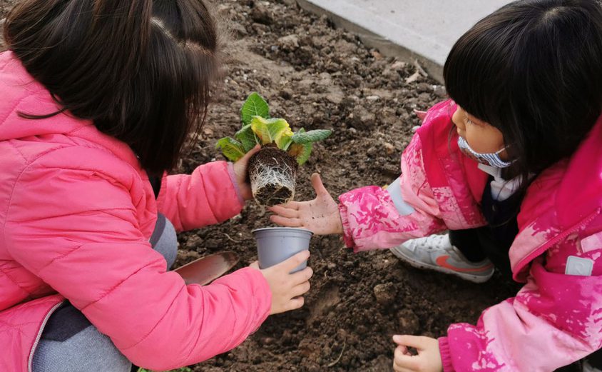 162389956 4168472289851414 1390219380185744013 o