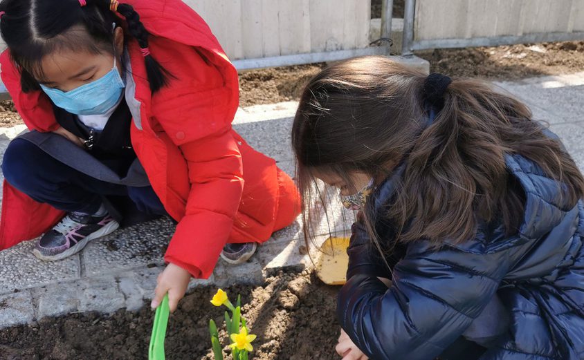 162415777 4168472506518059 4069827998851704018 o