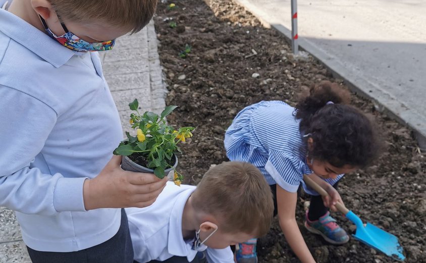 162610718 4168472286518081 2086921071504244160 o