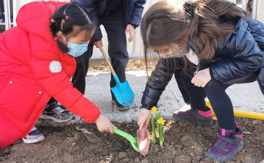 163040120 4168472519851391 6127428277153344609 o