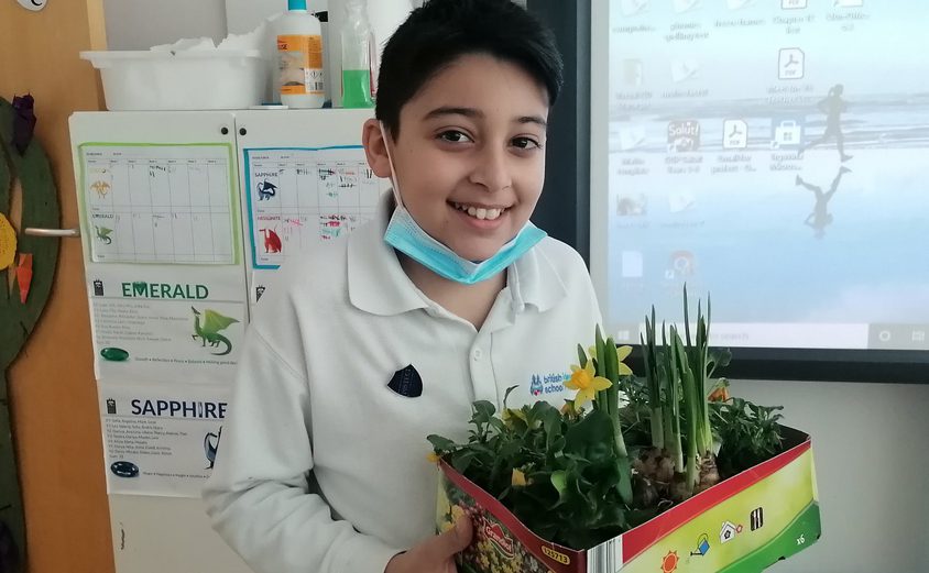 163283988 4175384769160166 5256873882121237501 o