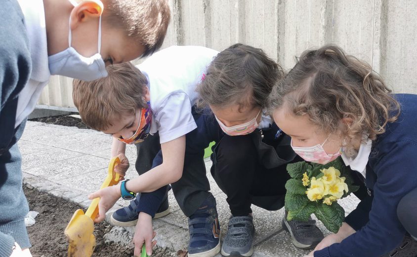 163295470 4168472293184747 7907782608722270237 o