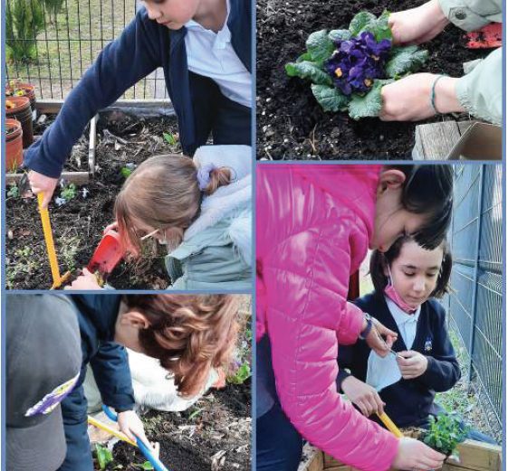 163824009 4175385665826743 8501367774307657847 n