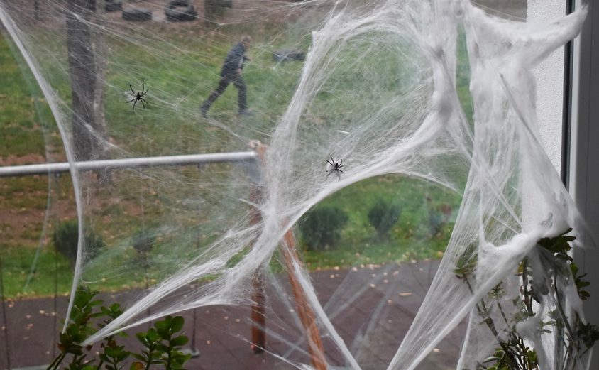 Halloween decor 21 3