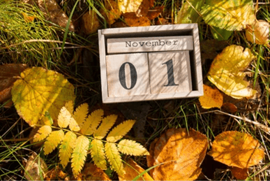 Picture22 2021 11 03 085803