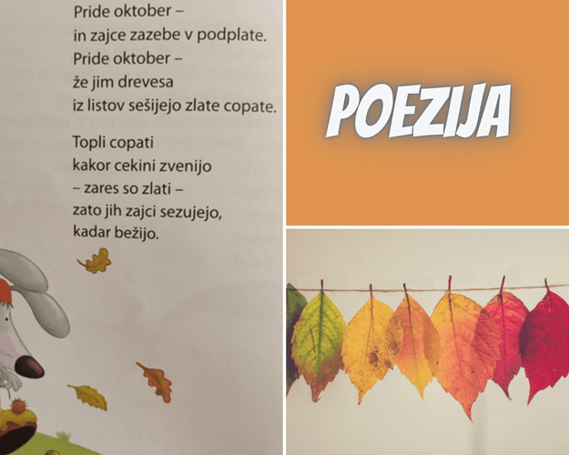 Picture31 2021 11 03 090202