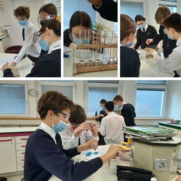 Picture5 2021 12 14 110211