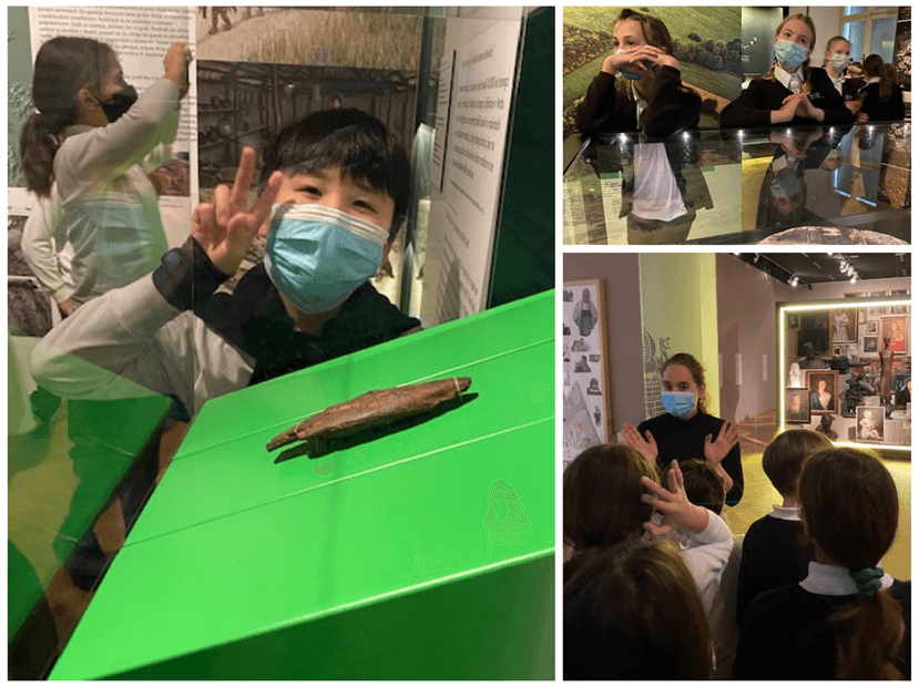 Picture9 2021 12 06 084509