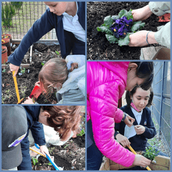 Pri Mar19 katarina 3