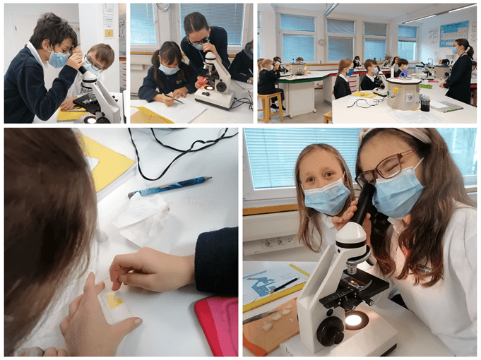 Prim News29 11 2021 11 29 074244