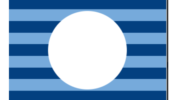 Sec Feb5 flag 4