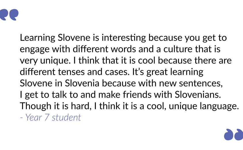 Slovene article student comment 4