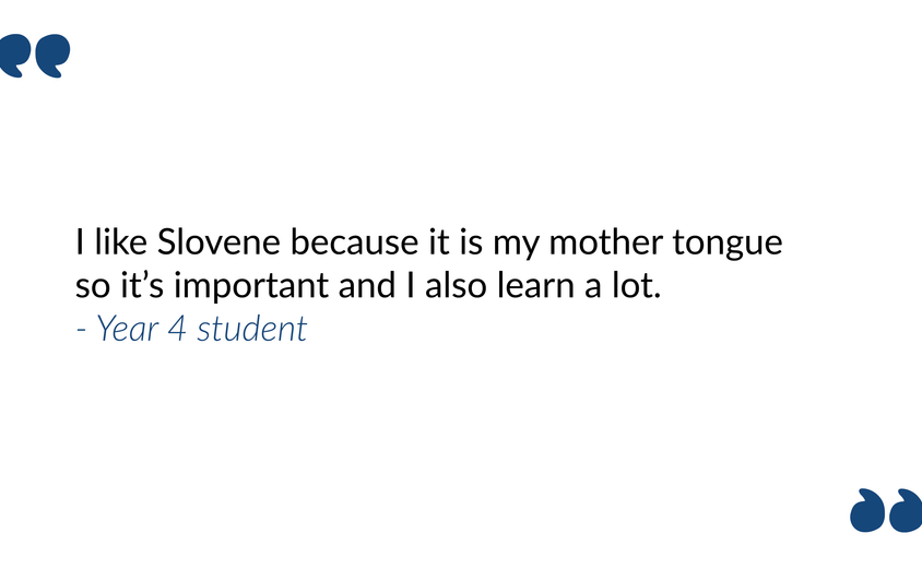 Slovene article student comment 5