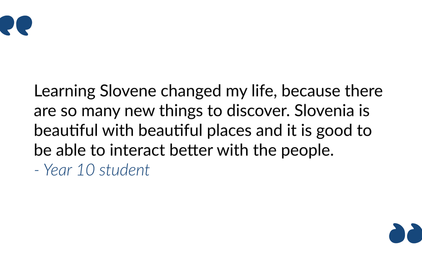 Slovene article student comment 8