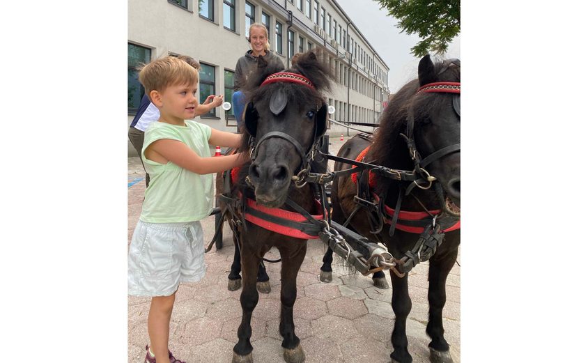 Summer School 2021 13