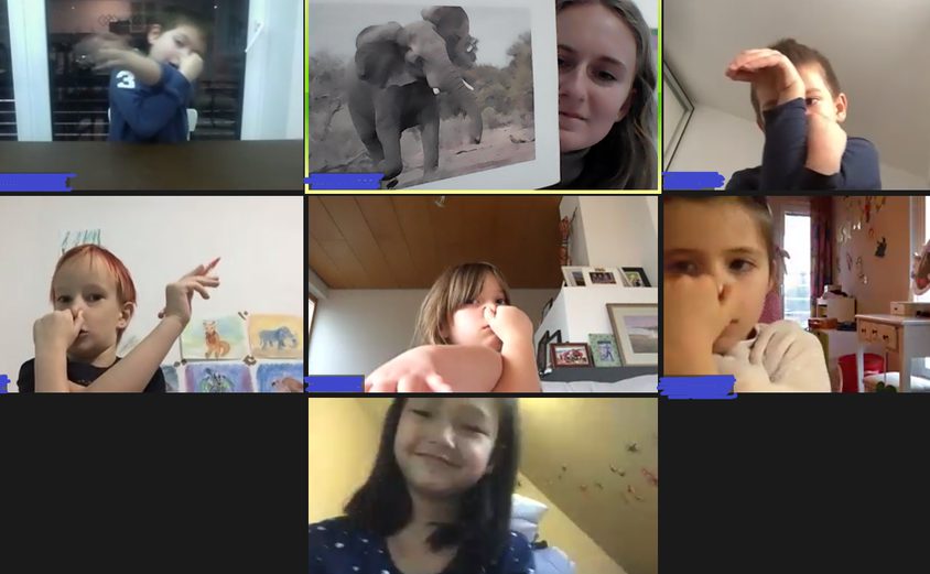 TF MKMFL Od glave do peta Y2