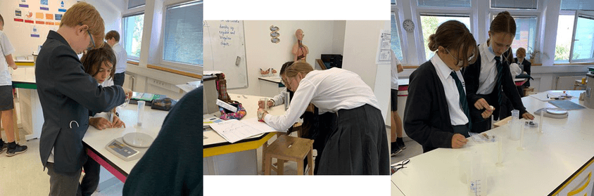 Untitled 12 2021 09 14 131146