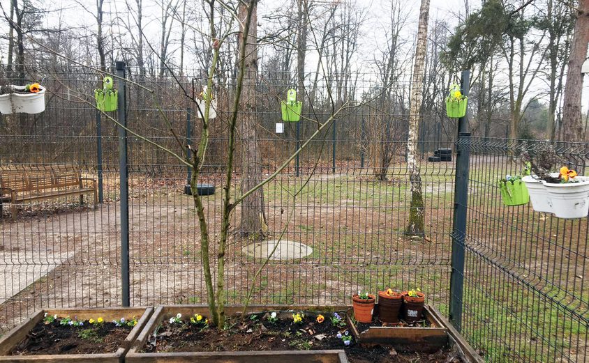 Spring flowers BISL mar21 1