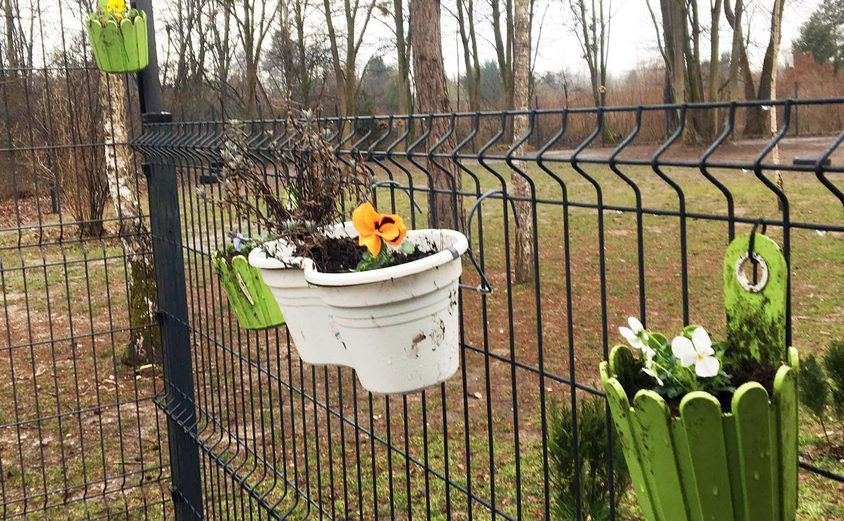 Spring flowers BISL mar21 2