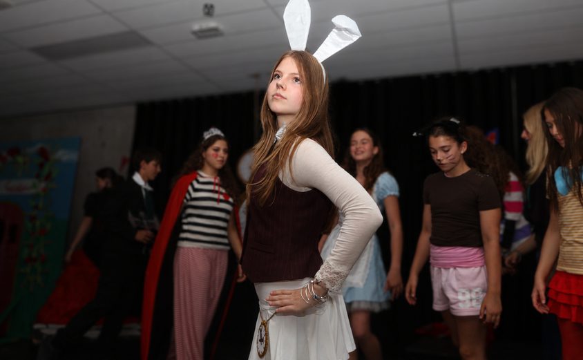 Rabbit