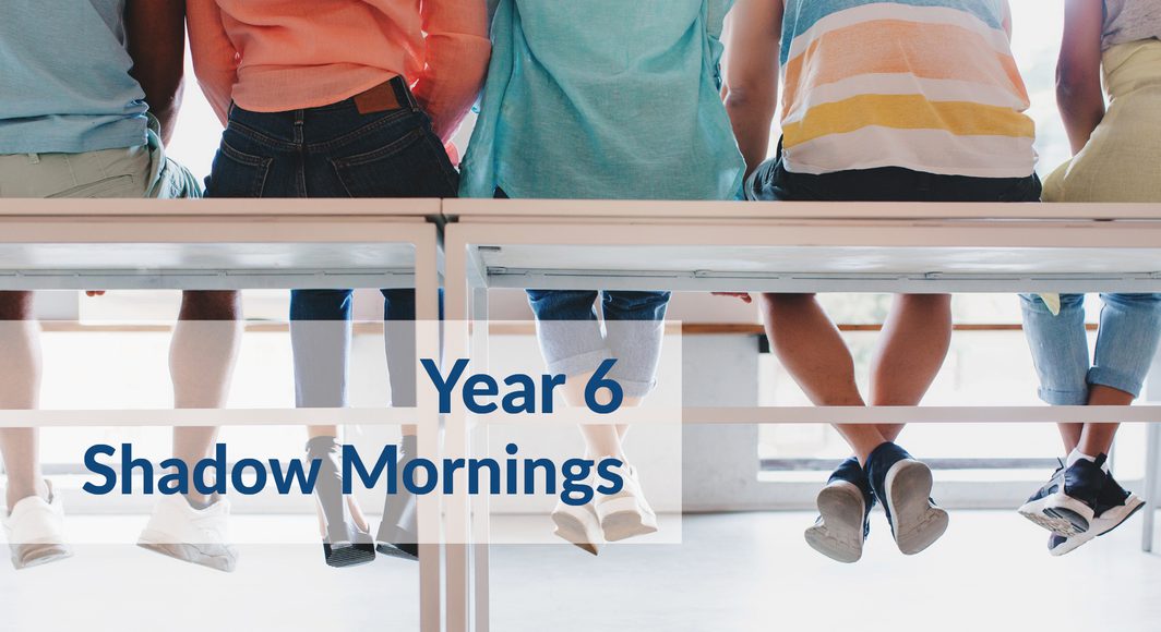 Y6 Shadow Mornings