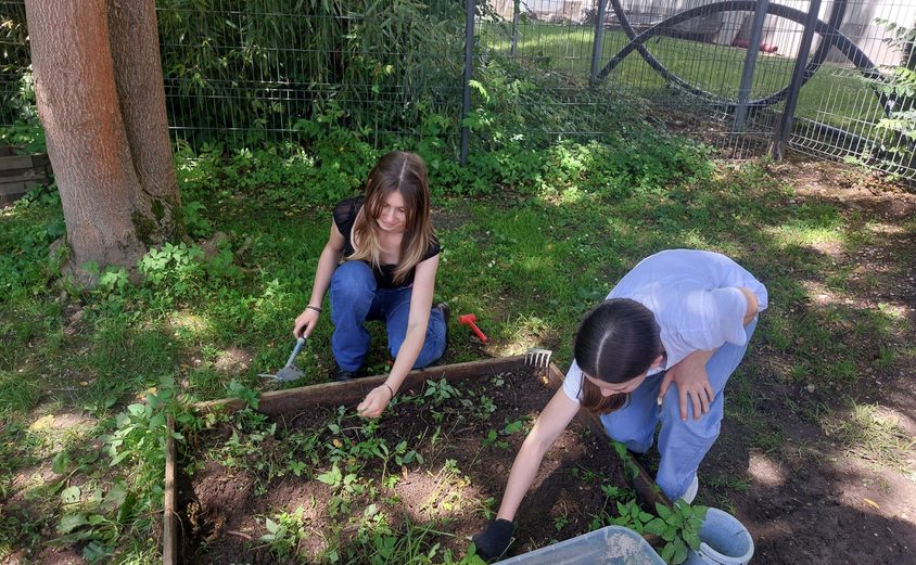 Sustainability12 Copy