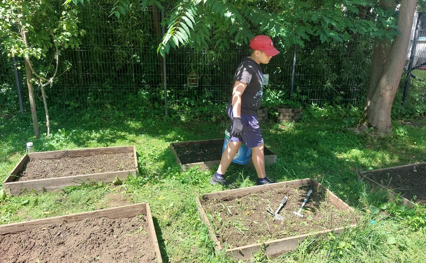 Sustainability14 Copy