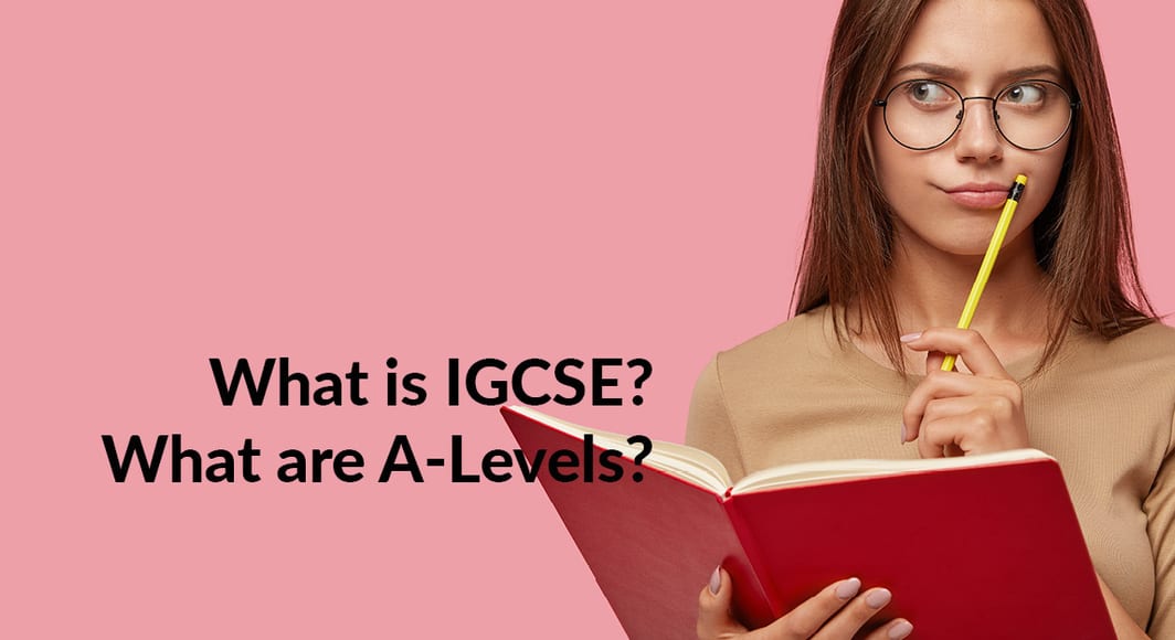 What is igcse