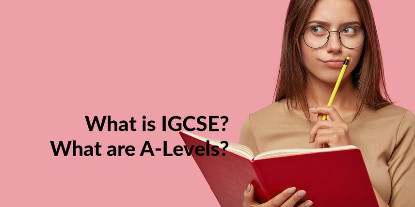 What is igcse